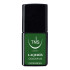 Smalto semipermanente verde Evergreen 10 ml Laqerìs TNS