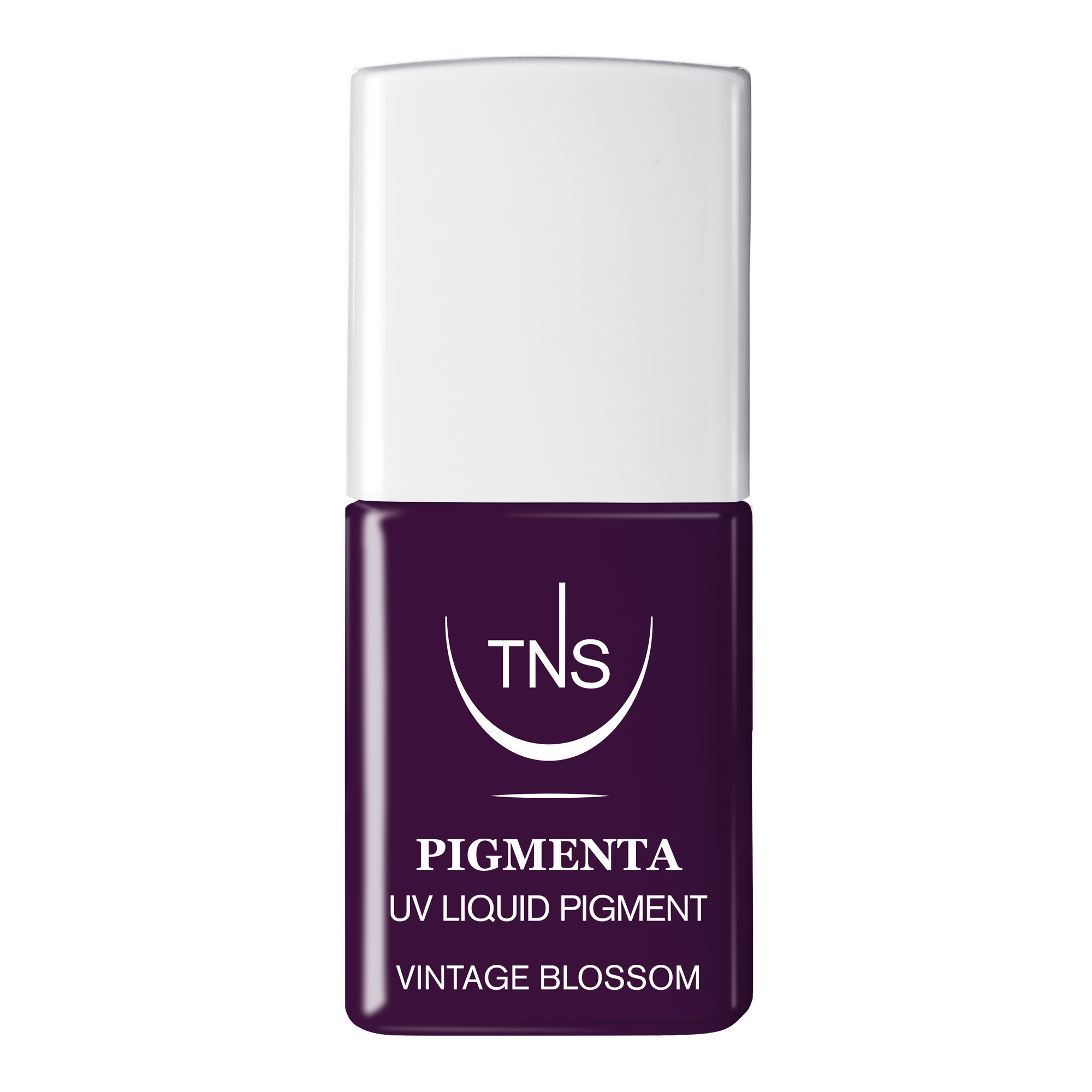 Pigmento Liquido UV Vintage Blossom viola scuro 10 ml Pigmenta TNS